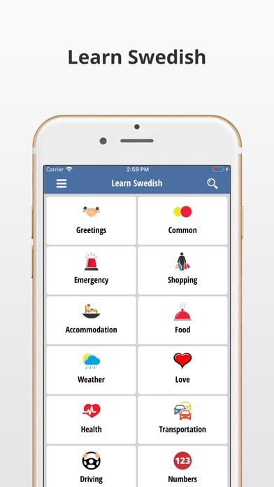 Learn Swedish Language App screenshot 2