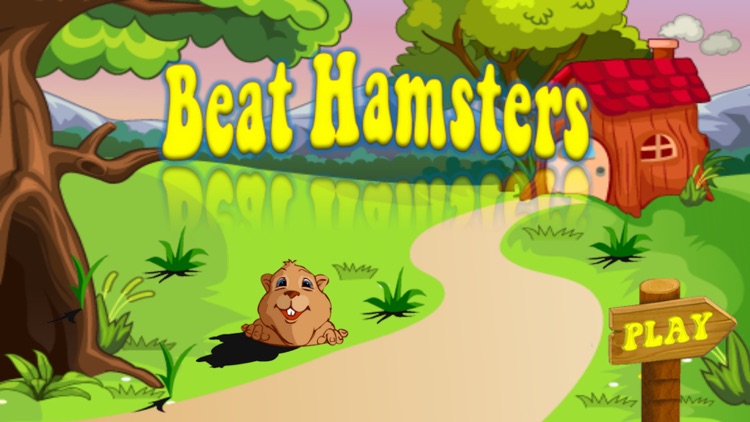 Beat the Hamsters!