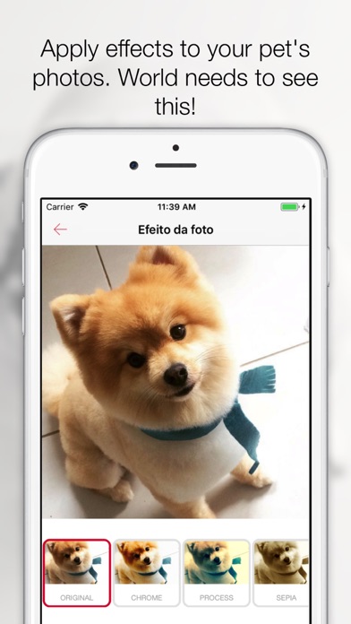 How to cancel & delete Pets - Your Pets' Life from iphone & ipad 2