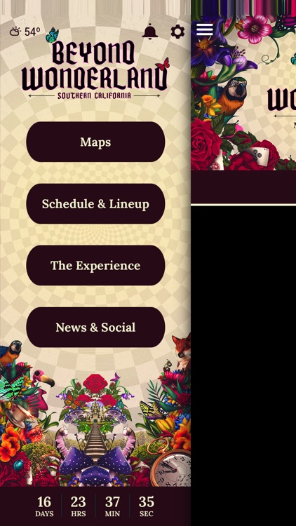 Insomniac: Beyond Wonderland