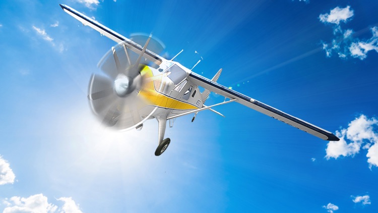 Airplane Flight-Simulator 3d screenshot-4