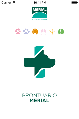 Prontuario BI - náhled