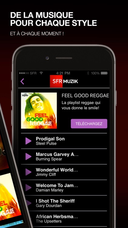 DIGSTER MUSIC SFR