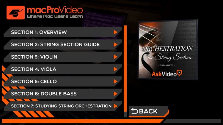 Orchestration String Section