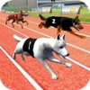 Dog Racing Game: Wild Animal