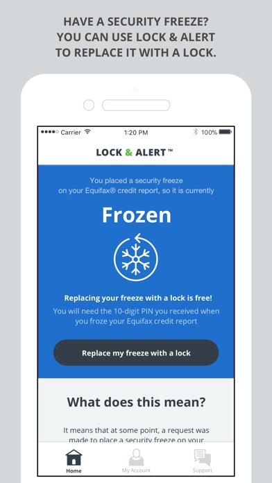 Lock & Alert screenshot 4