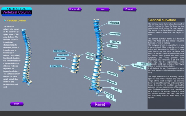 Vertebral Column(圖4)-速報App