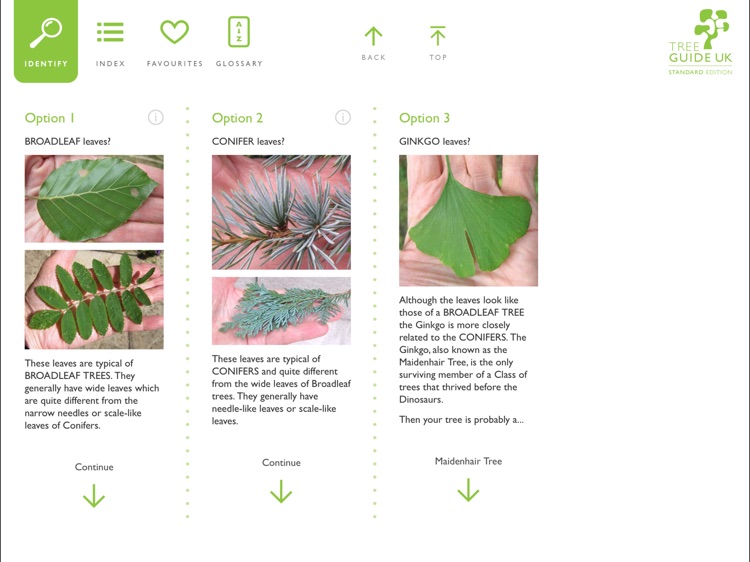 Tree Guide UK - Standard