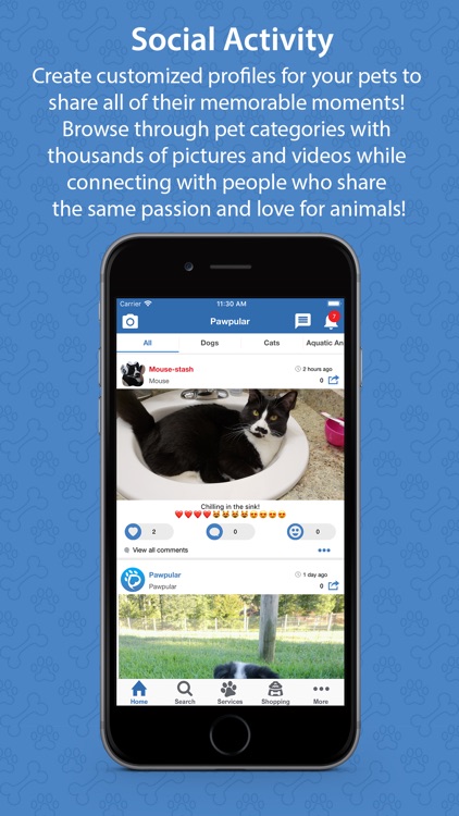 Pawpular - Pet Society & Care screenshot-5