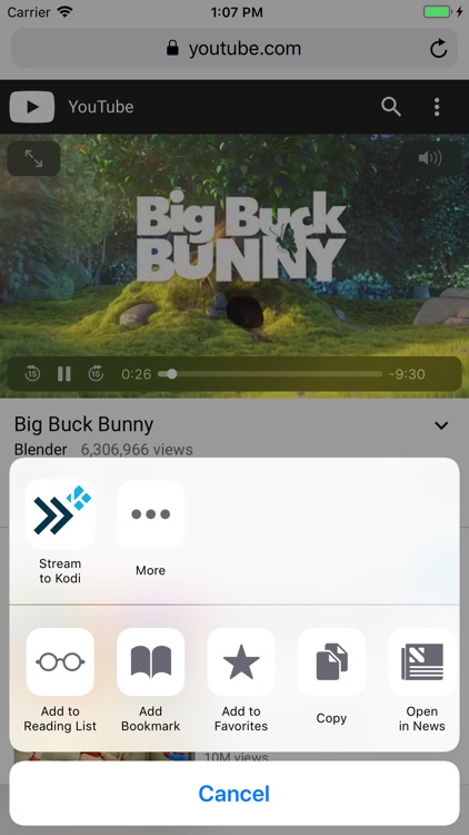 Stream to Kodi screenshot-3