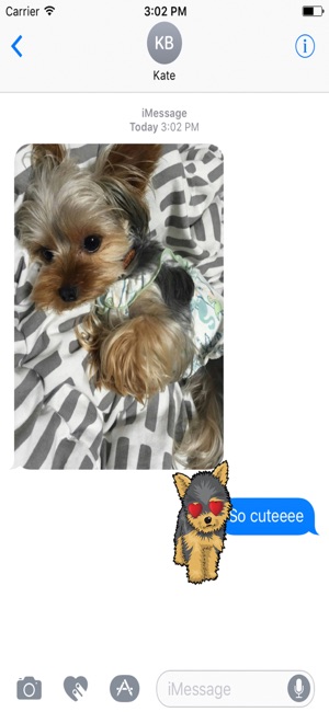 Yorkie Emojis For Dog lovers