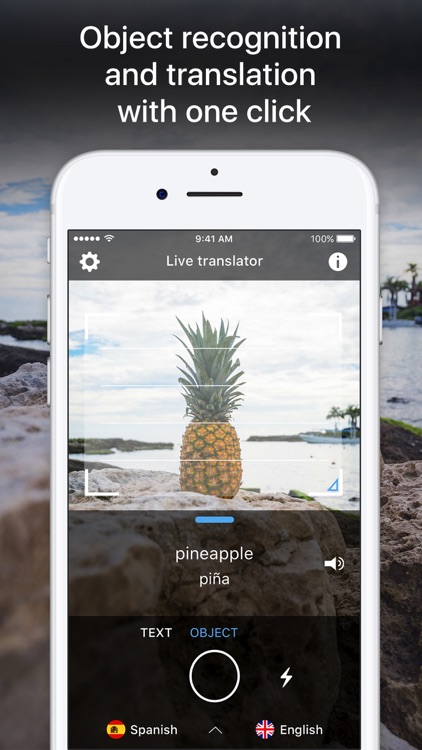 Live Translator Pro