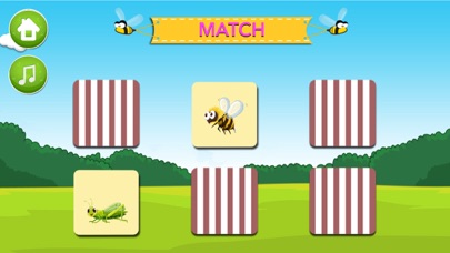 Learn about Insectsのおすすめ画像3