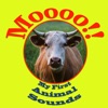 Moooo!! - First Animal Sounds