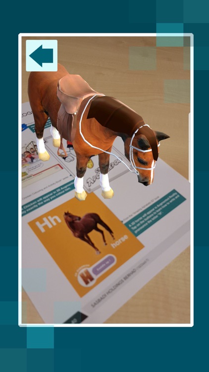 Sasbadi Annual Report 2017