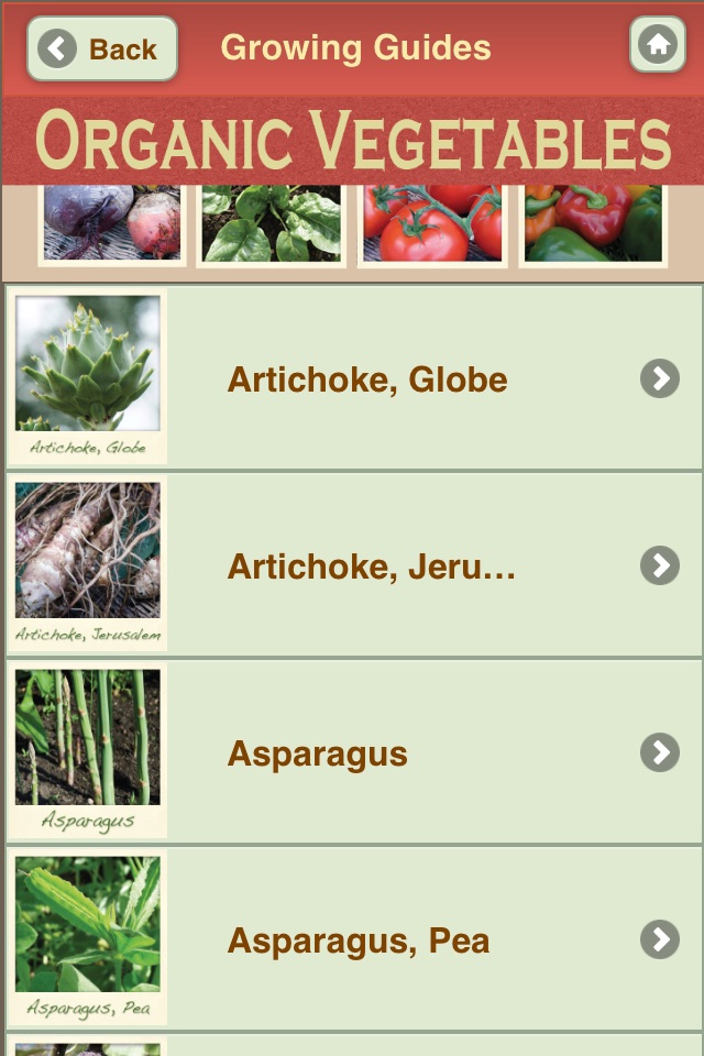 Growing Organic Vegetables screenshot 2