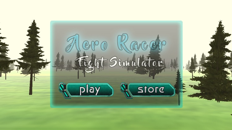 Aero Racer Flight Simulator