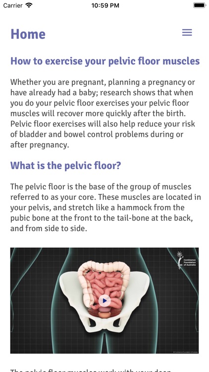 Pregnancy Pelvic Floor Plan