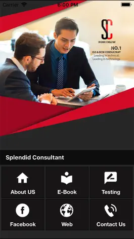 Game screenshot Splendid Consultant apk