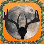 Deer Scouting  Scoring System