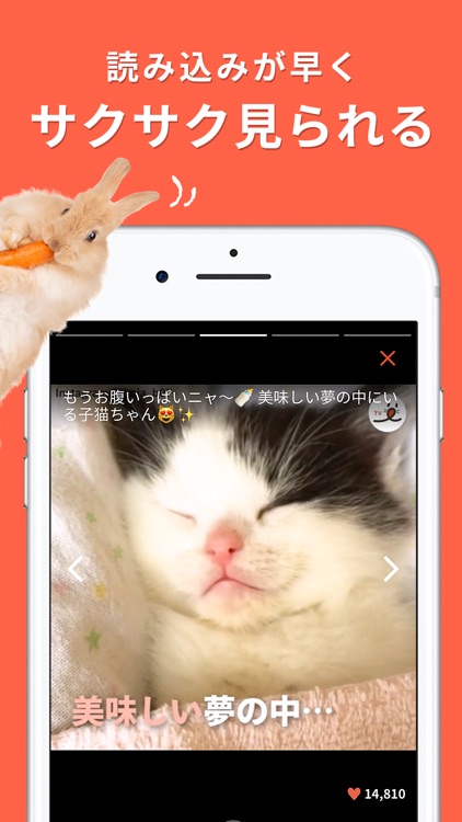 PECO(ペコ):飼い主のための機能充実ペットアプリ screenshot-4