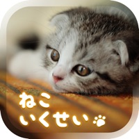 癒しの猫育成ゲーム3d Pc ダウンロード Windows バージョン10 8 7 21