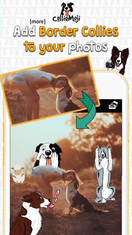 CollieMoji Photo Editor