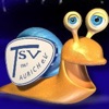 TSV Aurich 1967