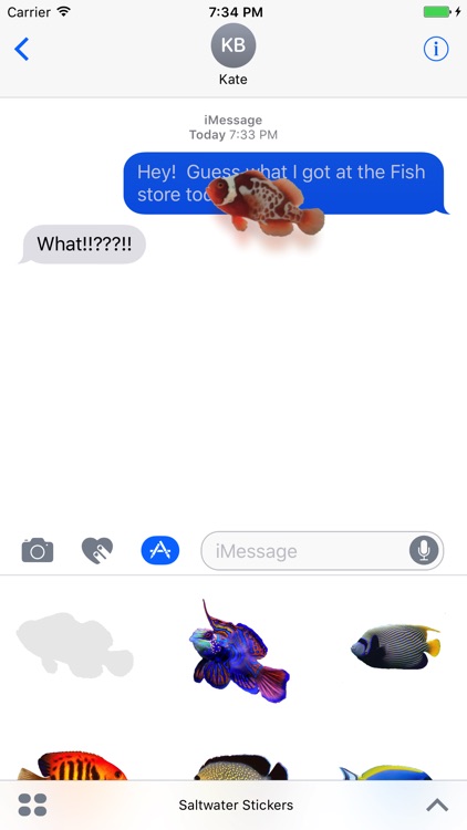 Saltwater Fish Stickers