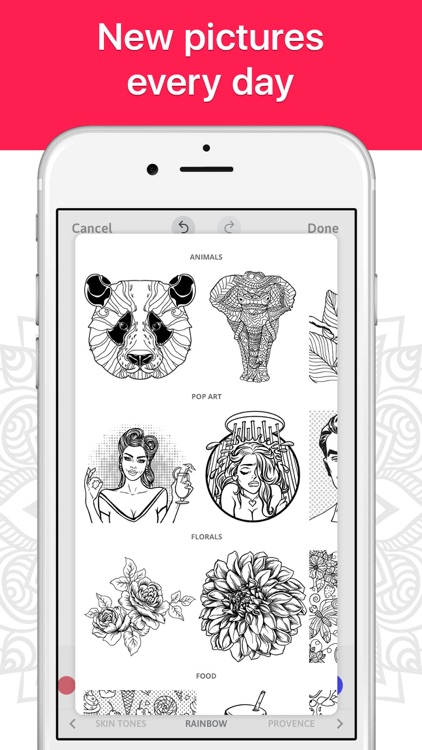 Coloring Book for Adults Now