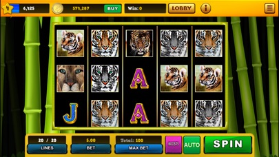 Slots - Lucky Fortune Casino screenshot 3