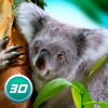 Koala Simulator: Wildlife Game