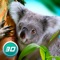 Koala Simulator: Wildlife Game