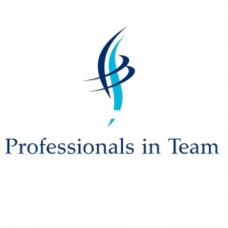 Professionals in Team