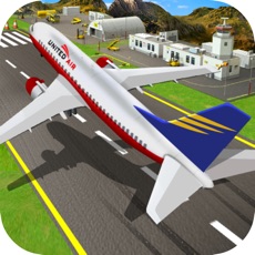 Activities of Airplane Flying Pilot Sim
