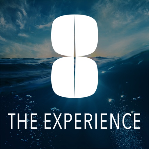 8 The Experience icon