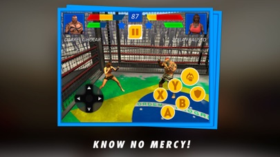 Vale Tudo MMA Fighting Arena screenshot 2