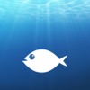 WhatFish, Identification Guide