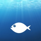 WhatFish, Identification Guide
