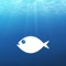 WhatFish is an app that allows easy identification of marine species using keywords