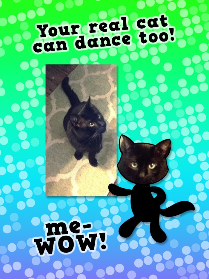 Disco Cats Augmented Reality