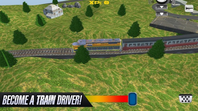 Train Driver Express 3D