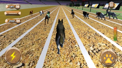 Greyhound Racing Tournament 2 screenshot 2