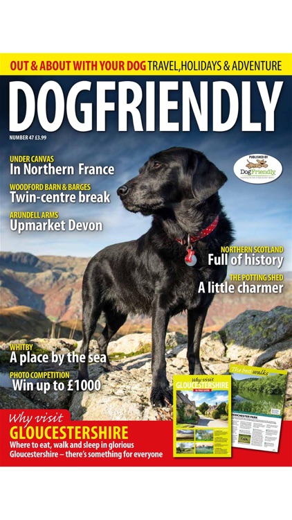 Dog Friendly Magazine screenshot-3