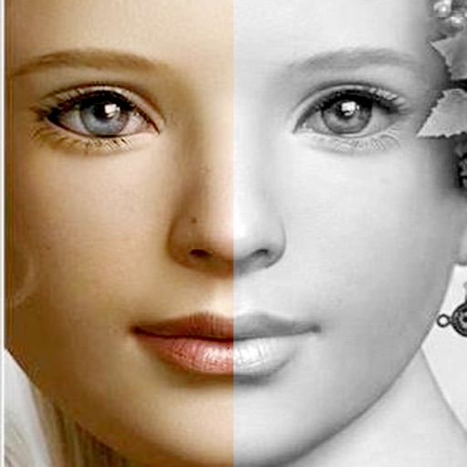 Face MirrorSymmetry half faceperfect face by Wen Yun Rong