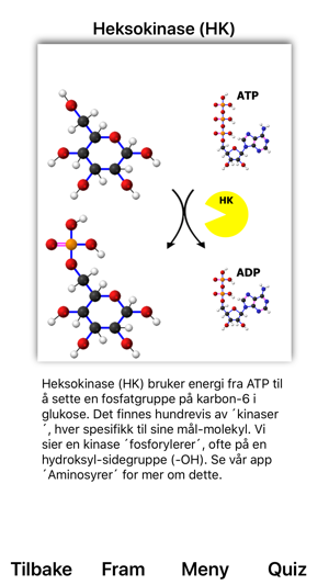 Glykolyse(圖5)-速報App