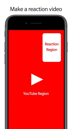 ReacTube: Reaction recorder