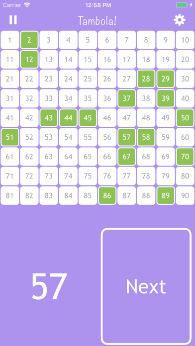 Bingo-Tambola screenshot 2