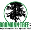 Baumann Tree