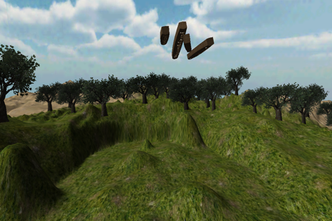 Real 3D Yut Dice screenshot 3